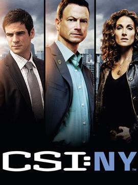 Les Experts: Manhattan